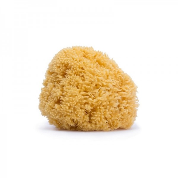 Acofar Esponja Natural Gigante
